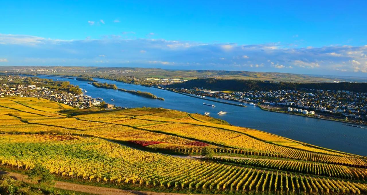 Hotel Kronenschloesschen Eltville am Rhein Exteriör bild