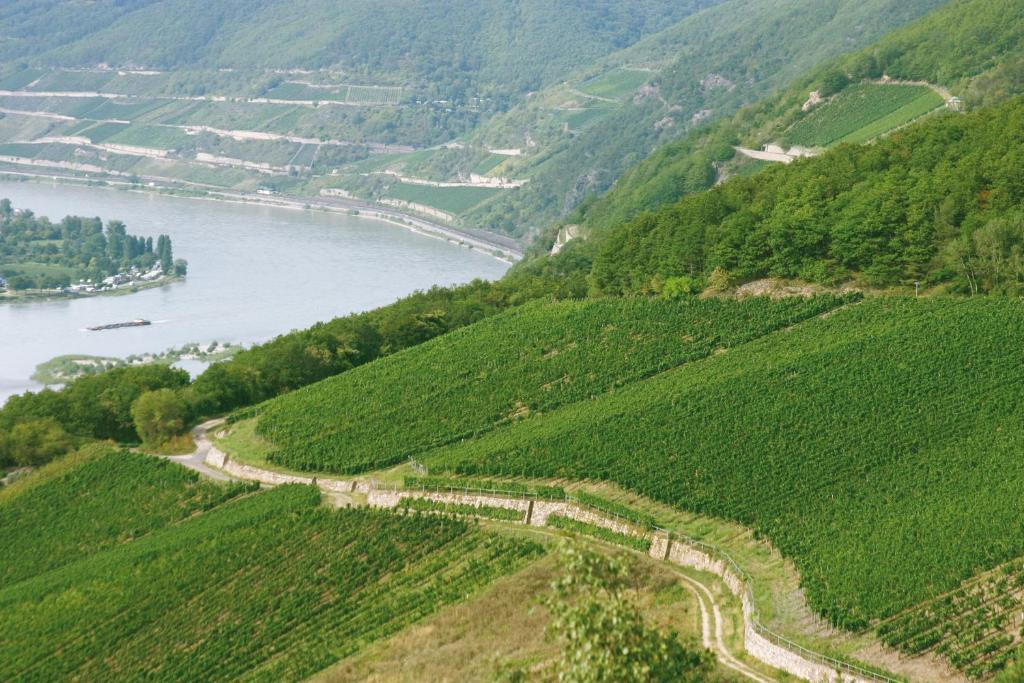 Hotel Kronenschloesschen Eltville am Rhein Exteriör bild